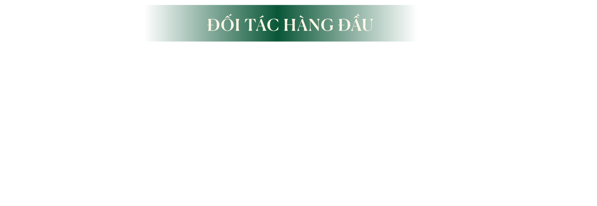 Doi tac hang dau