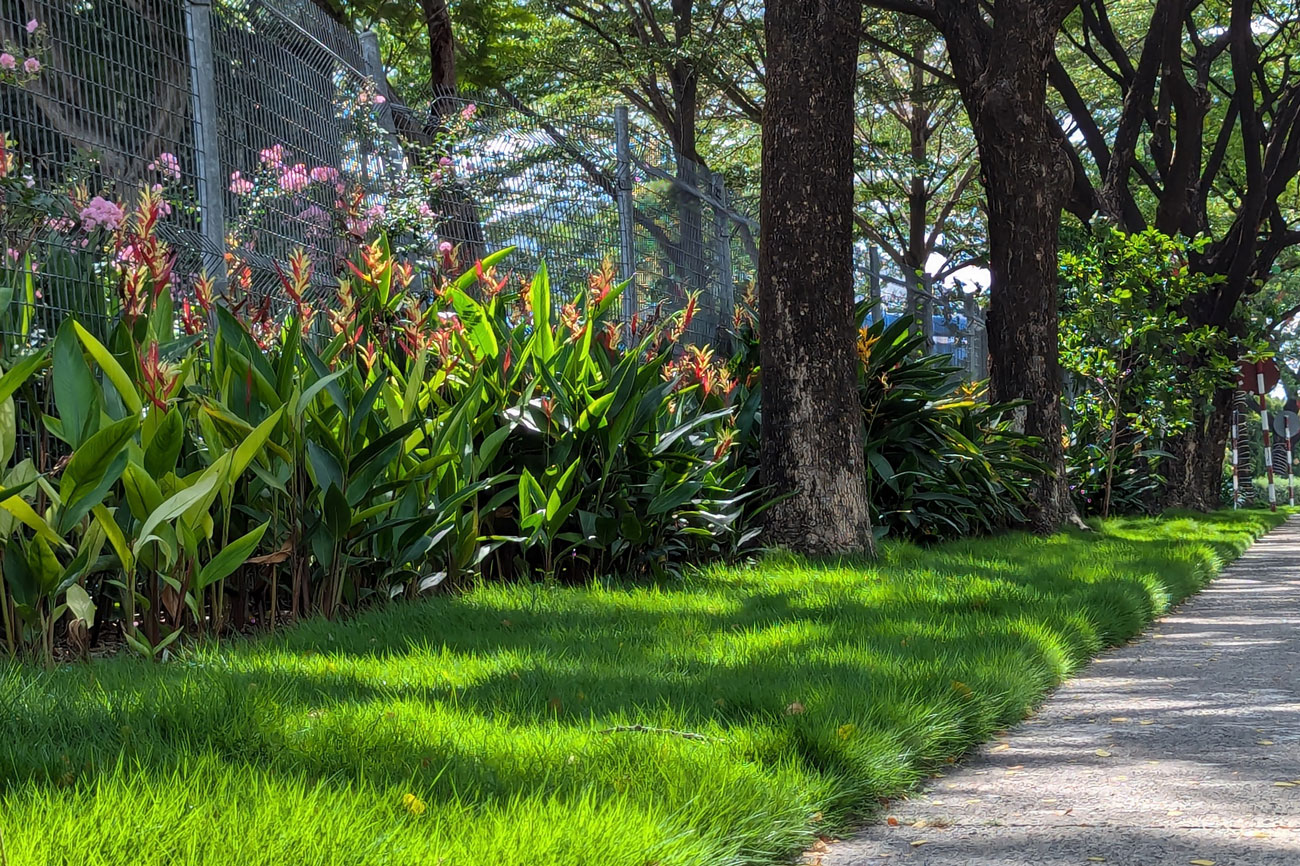 hình dự án setia edenia thực tế15